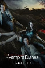 Poster for The Vampire Diaries Season 3