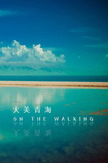 大美青海 poster