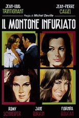 Il montone infuriato