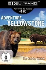 Poster di Adventure Yellowstone - Der Ruf der Wildnis