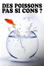 Poster for Des poissons, pas si cons ? 