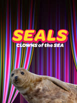 Poster for Seals - Clowns of the Sea 