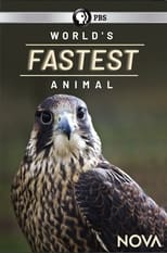 Poster for World's Fastest Animal