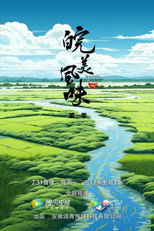 皖美风味 poster