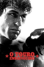 Touro Indomável