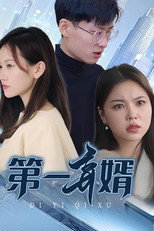 第一弃婿 poster