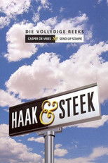 Haak & Steek (2003) poster