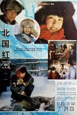 Poster for Bei guo hong dou 