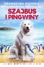 Szajbus i pingwiny