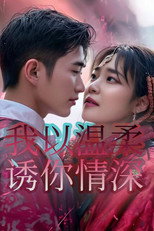 我以温柔诱你情深 poster