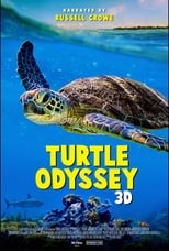 Poster for Turtle Odyssey 