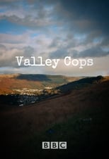 Poster for Valley Cops