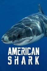 Poster for American Shark