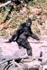 Patterson-Gimlin Film (1967)