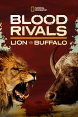 Poster for Blood Rivals: Lion vs Buffalo