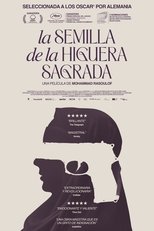 Carátula La semilla de la higuera sagrada
