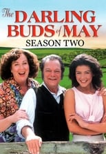 Poster for The Darling Buds of May Season 2