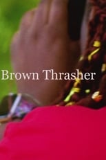 Brown Thrasher (2020)