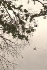 WALDEN