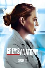 Poster for Grey's Anatomy Season 17
