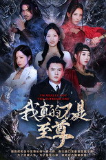 我真的不是至尊 poster