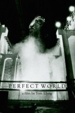 Poster for Perfect World