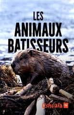 Poster for Les Animaux bâtisseurs 