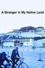 Poster for A Stranger in My Native Land