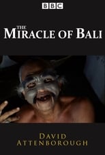 Poster for The Miracle of Bali