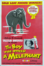 Poster for The Boy Who Owned a Melephant