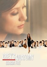 Poster for Grey's Anatomy Season 5