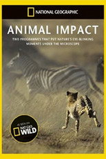 Animal Impact poster