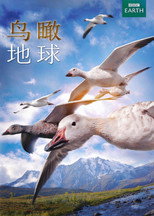 第 1 季