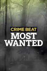 Poster for Crime Beat: Most Wanted