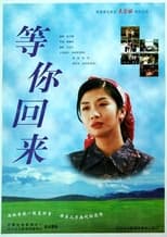 Poster for 等你回来