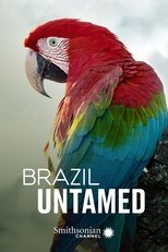 Pantanal poster