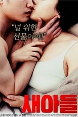 Poster di 새아들