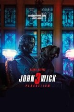 John Wick 3 - Parabellum