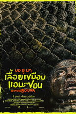 บอ ยู นา เลื้อยเขมือบแอมะซอน