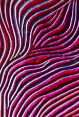 Abstract Patterns