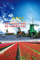 旅行荷兰 poster