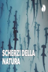 Scherzi Della Natura poster