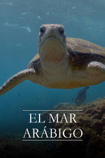 El mar Arábigo poster