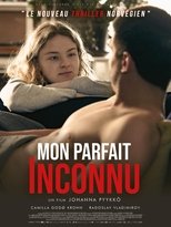 Mon parfait inconnu poster