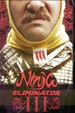 Poster for Ninja Eliminator 3: Guardian of the Dragon Medallion