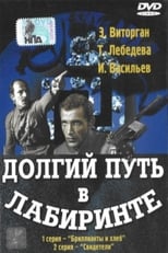 Poster for Долгий путь в лабиринте