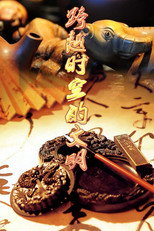 跨越时空的文明 poster