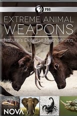 Poster for Extreme Animal Weapons
