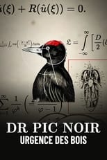 Poster for Dr Pic Noir, urgence des bois 