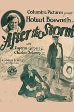 Poster for After the Storm